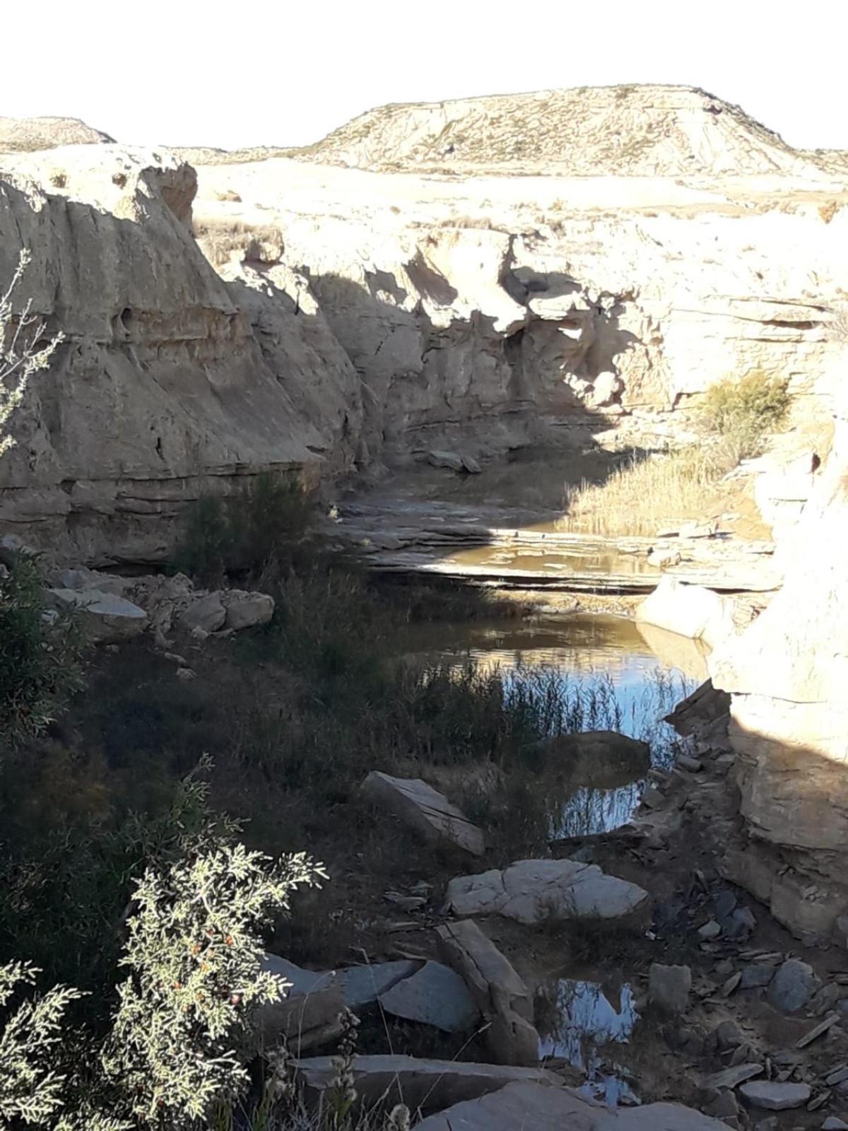 Vila La Manguita Bardenas Arguedas Exteriér fotografie